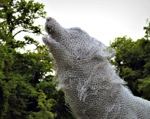 Le Loup (détail) - sculpture d'Aurelien Raynaud - crédit photo Yseult Carré            