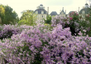 jardin4_cheverny_sologne_copyright_yseultcarre