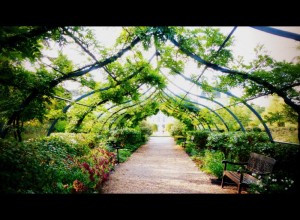 jardin_cheverny_sologne_copyright_yseultcarre
