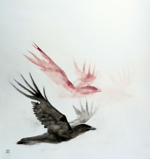 Corbeaux raven crows © Yseult Carré                  